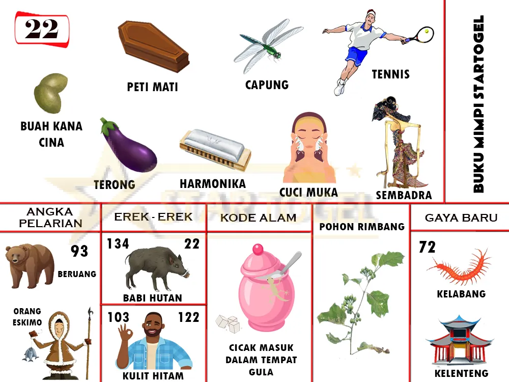 buku mimpi erek erek togel 22